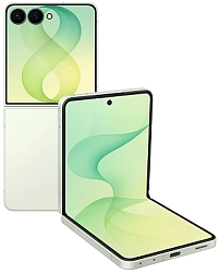 Смартфон  Samsung Galaxy Z Flip 8 (F776B) 12/256GB Mint Nano & Esim